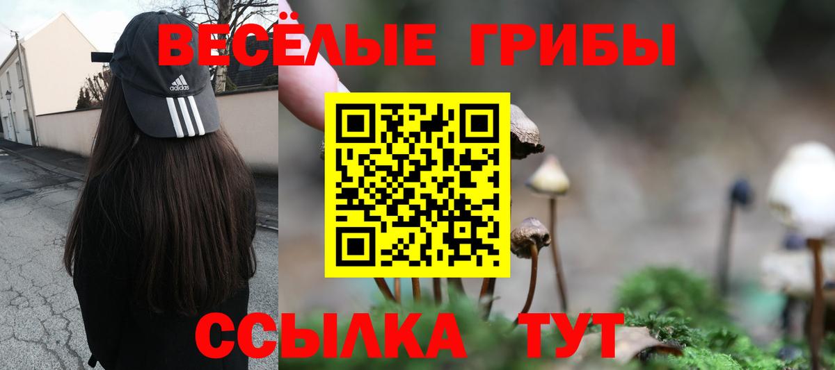 Псилоцибиновые грибы GOLDEN TEACHER  Вход с VPN  где купить   Стрежевой 